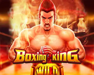 bk8 affiliate login